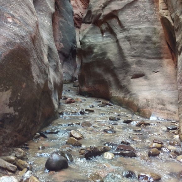 Meet your Posher, Mana - Picture 1 of 1